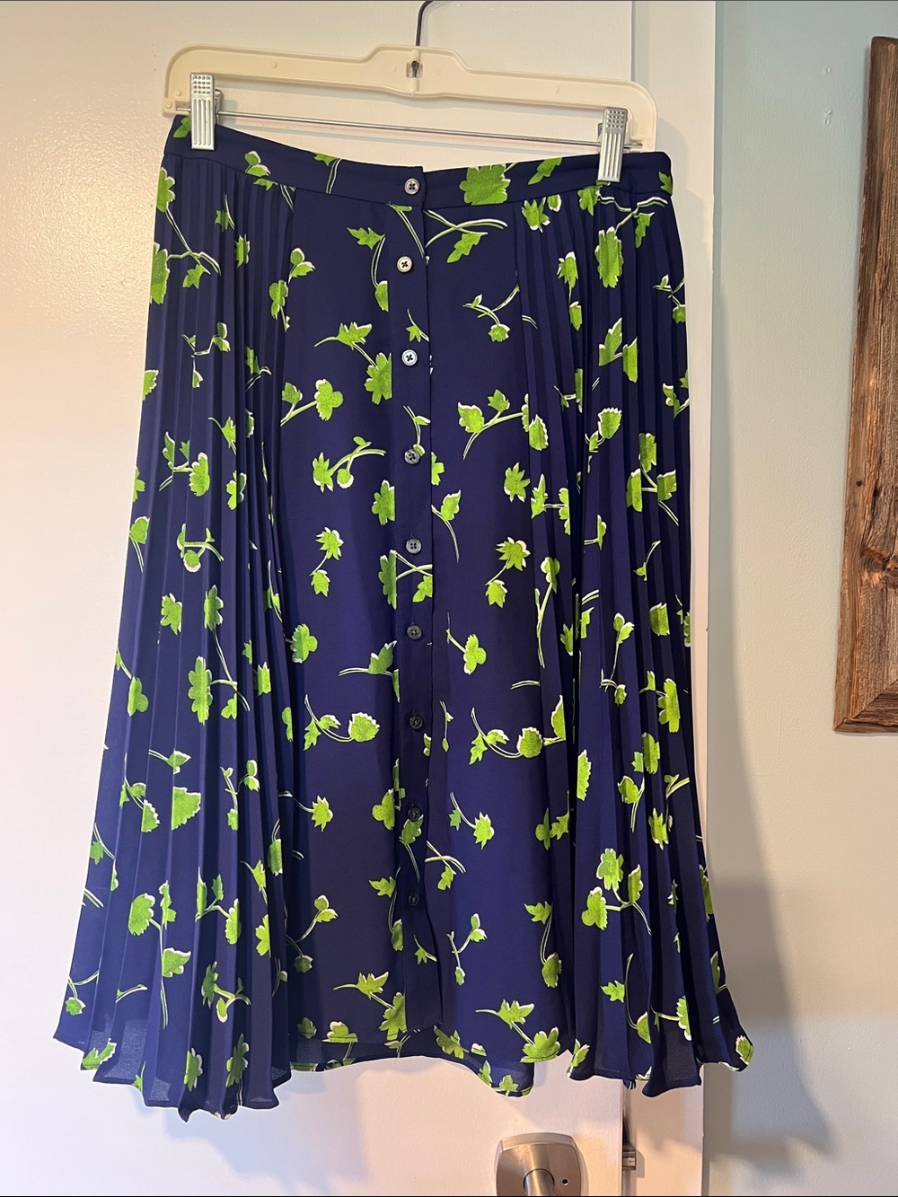 Banana Republic Pleated Button Front Skirt